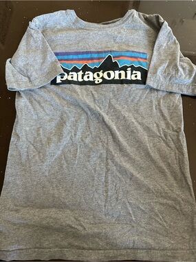 Patagonia Kids Heather Gray Logo Tee with Blue & Purple Stripes